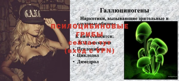 прущий лед Алексин