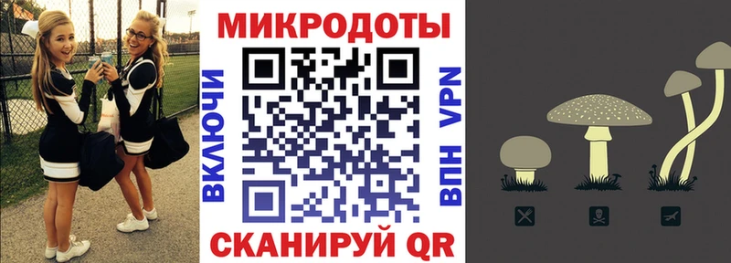 Псилоцибиновые грибы MAGIC MUSHROOMS  как найти   Асино 